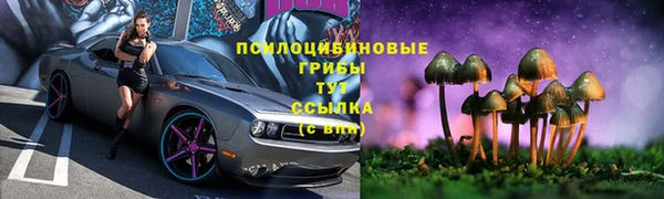 гашик Волосово