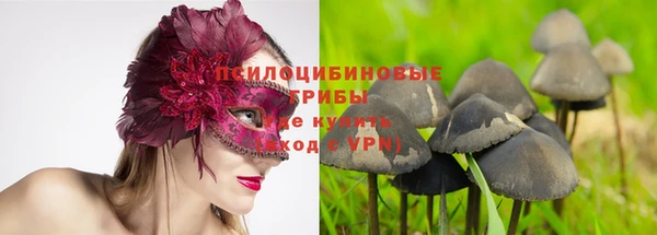 гашик Волосово