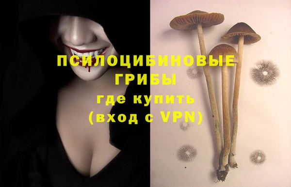 гашик Волосово