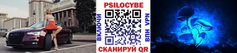 Псилоцибиновые грибы ЛСД  Купить закладки  Котельнич 